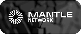 Mantle Network